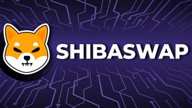 شیباسواپ به شیباریوم آمد؛ روند قیمت SHIB دوباره صعودی شد!