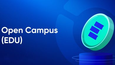 صعود چشمگیر توکن EDU در پی حمایت انیموکا برندز از شبکه آموزشی اوپن کمپس!