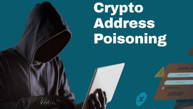 قربانی کلاهبرداری ۷۱ میلیون دلاری، رمزارزهای خود را پس گرفت! ماجرا چیست؟