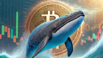 ماجرای ضرر ۸ میلیون دلاری یک نهنگ به دلیل فروش ذخایر خود در زمان اشتباه!