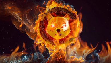 نرخ توکن‌سوزی شیبا ۴ هزار درصد بیشتر شد! روند صعودی قیمت ادامه می‌یابد؟