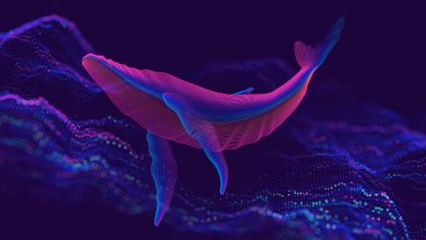 هکر رمزارزی، تمام ۷۰ میلیون دلار را به صاحبش بازگرداند!