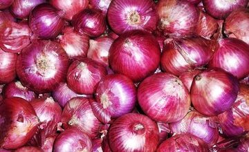 وعده رییس اتحادیه بارفروشان برای قیمت پیاز/یک کیلو پیاز چند؟