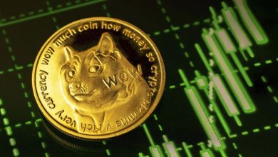 پرواز قیمت دوج‌کوین در پی رشد سهام گیم‌استاپ! تاریخ تکرار می‌شود؟