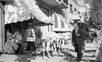 گذرگاه تاریخ / باربری با الاغ در چهارراه استانبول و مژدگانی ۵۰ تومانی!/ عکس