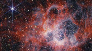 سرنخ‌هایی از جهان هستی با بررسی ستارگان تپنده