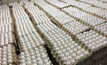 قیمت تخم مرغ ۱۱۰ هزار تومان شد!