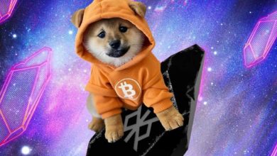 معرفی ۳ آلت‌کوین پرپتانسیل برای رالی آتی؛ از میم‌کوین داگ بیت‌کوین غافل نشوید!