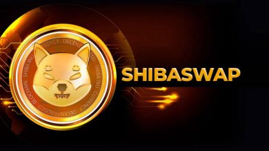 همکاری شیباسواپ با دکس تولز؛ چشم‌اندازی روشن در انتظار شیبا اینو است!