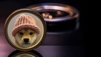 تحلیل قیمت سگ کلاهدار؛ آیا WIF بیشتر رشد می‌کند؟