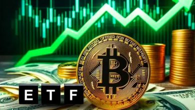 تزریق ۳۱۰ میلیون دلار سرمایه به ETFهای بیت‌کوین! سیگنالی دیگر برای صعود بازار؟
