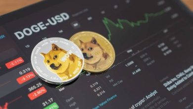 تعداد کیفپولهای دوج کوین از ۹۰ میلیون گذشت! افزایش قیمت تا کجا ادامه مییابد؟