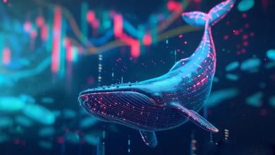 در هفته اول جولای، نهنگ‌ها روی کدام ارزهای دیجیتال سرمایه‌گذاری کردند؟