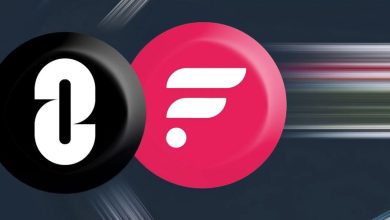 دسترسی فلر به ۷۰ بلاکچین و ۵۰ هزار برنامه غیرمتمرکز در پی ادغام با لیر زیرو!