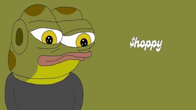 رشد حیرت‌انگیز قیمت هوپی در بازار؛ بازده ماهانه HOPPY به ۷۷۰ درصد رسید!