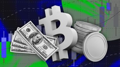 رشد سرمایه‌گذاری در بازار ارزهای دیجیتال علی‌رغم افزایش نوسانات!