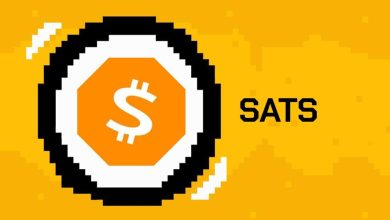 ستس هم به جمع سودده‌ترین‌ها پیوست! هدف قیمت این میم‌کوین بیت‌کوین کجاست؟