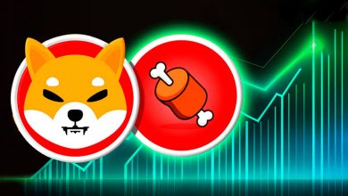 صعود قیمت SHIB و BONE؛ توسعه‌دهنده شیبا برای اولین بار در انظار عمومی ظاهر شد!