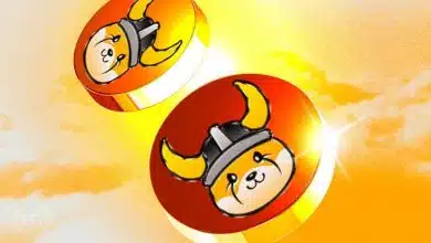 فلوکی در مسیر بهبود؛ بررسی دلایل صعود ۵۰ درصدی و چشم‌انداز پیش روی FLOKI