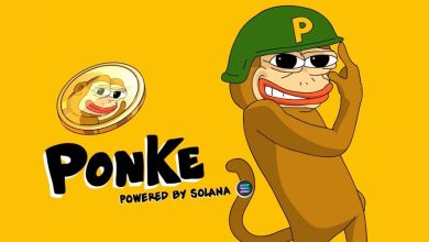 موفقیت چشمگیر پونک: رشد ۷۱۷۰ درصدی از کف تاریخی به قله‌های جدید!