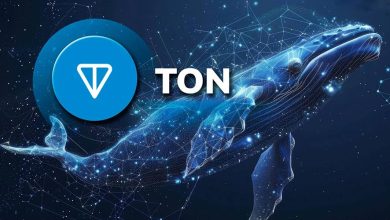نهنگ‌های تون‌کوین به جنب و جوش افتاده‌اند! در بازار TON چه خبر است؟
