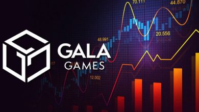 همکاری گالا گیمز با انیموکا برندز؛ خبرهای خوبی برای دارندگان GALA در راه است!