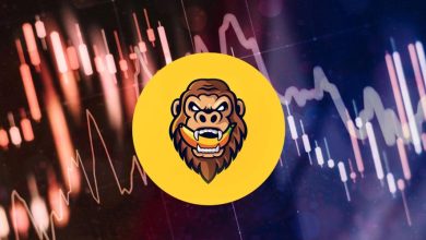 پیش‌بینی تداوم روند صعودی میم‌کوین گوریل؛ هدف قیمت GORILLA کجاست؟