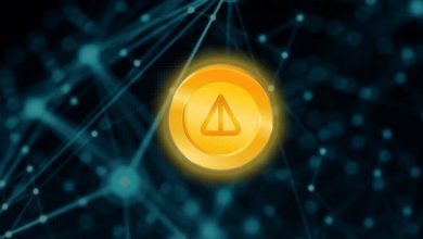 چشم‌انداز صعودی نات‌کوین؛ چرا احتمال رشد قیمت NOT در ماه جولای بالا است؟