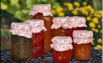 کارگاه تولید مربا از سوسک و پشه در کاشان تعطیل شد! +عکس