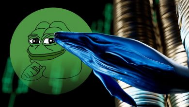 تغییر استراتژی نهنگ‌های پپه؛ کدام ارز دیجیتال جایگزین PEPE شده است؟
