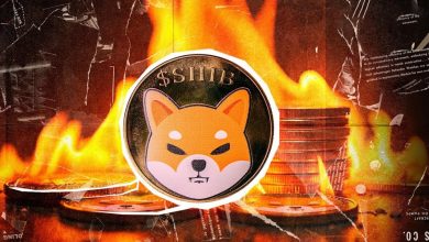 رشد ۴۱۰۰ درصدی نرخ توکن‌سوزی شیبا اینو؛ افزایش قیمت ادامه دارد؟