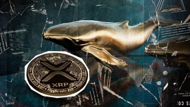 پیش‌بینی صعود XRP در پی شایعه همکاری ریپل و کاردانو؛ نهنگ‌ها به میدان برگشتند!