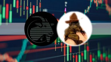 پینات یا گوتسیوس ماکسیموس؛ کدام میم‌کوین جدید بازدهی بیشتر و آینده بهتری دارد؟