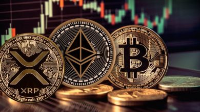 گزارش امروز بازار ارزهای دیجیتال (۱۰ آذر ۱۴۰۳)