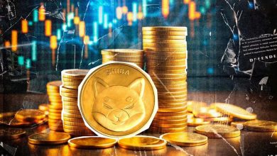 اگر در سال ۲۰۲۱ هزار دلار شیبا اینو خریده بودید، امروز چقدر سود می‌کردید؟