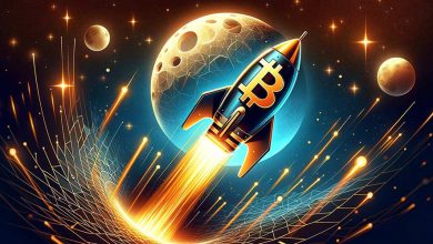 بیت کوین به رکورد جدید ۱۰۸ هزار دلار رسید! کدام ارزها او را دنبال می‌کنند؟