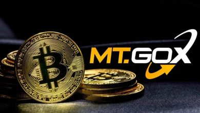 جابجایی‌های جدید مت‌گاکس و تأثیر آن بر بازار؛ ۱۷۲ میلیون دلار بیت‌کوین کجا رفت؟