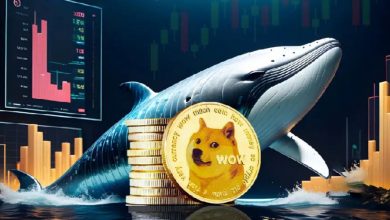 خرید بزرگ نهنگ‌ها در روزهای پایانی ۲۰۲۴؛ دوج‌کوین، اینجکتیو و پال در کانون توجه!