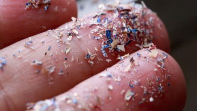 خطرات ریزپلاستیک‌ها در هوا؛ از سرطان روده بزرگ تا ناباروری