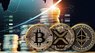 رمزارزهای محبوب هفته گذشته؛ کدام توکن‌ها بیشترین جذب سرمایه را داشتند؟