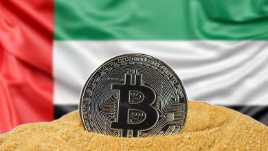 شایعات داغ دنیای کریپتو؛ امارات ۴۰ میلیارد دلار بیتکوین ذخیره کرده است؟!