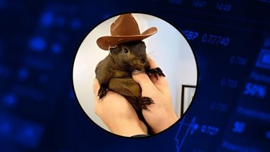 صعود دوباره پینات؛ لیست شدن در کوین‌بیس قیمت PNUT را بالا کشید!