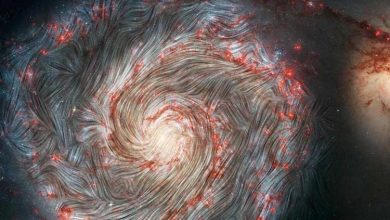 منشأ میدانهای مغناطیسی جهان از کجاست؟