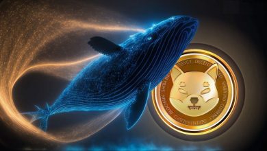 نهنگ‌های شیبا هم دست به‌کار شدند؛ انتقال ۲.۷۹ تریلیون SHIB تنها در یک روز!