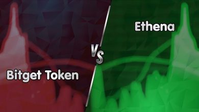 پرسودترین و پرضررترین رمزارزهای امروز (۱۰ دی ۱۴۰۳)