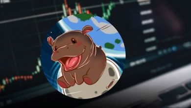 پرواز مودنگ به لطف لیست شدن در کوینبیس! صعود قیمت MOODENG ادامهدار است؟