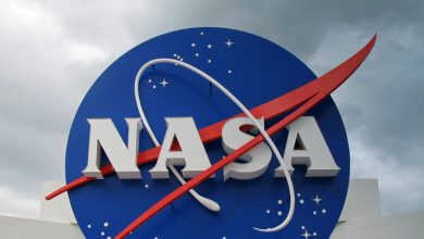 NGC 300: یک کهکشان پر از ستاره‌ها