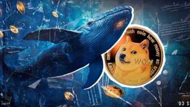 آغاز صعود دوجکوین با حمایت نهنگها؛ آیا زمان جهش بزرگ فرا رسیده است؟