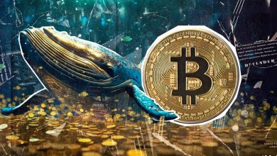 انباشت سنگین نهنگ‌ها زیر ۹۵ هزار دلار! بیت‌کوین در آستانه صعودی دوباره؟