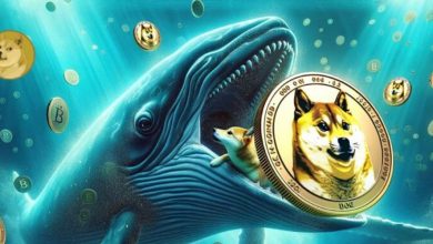 انباشت ۴۷۰ میلیون دلاری دوجکوین در محدوده حمایتی؛ زمان خرید رسیده است؟